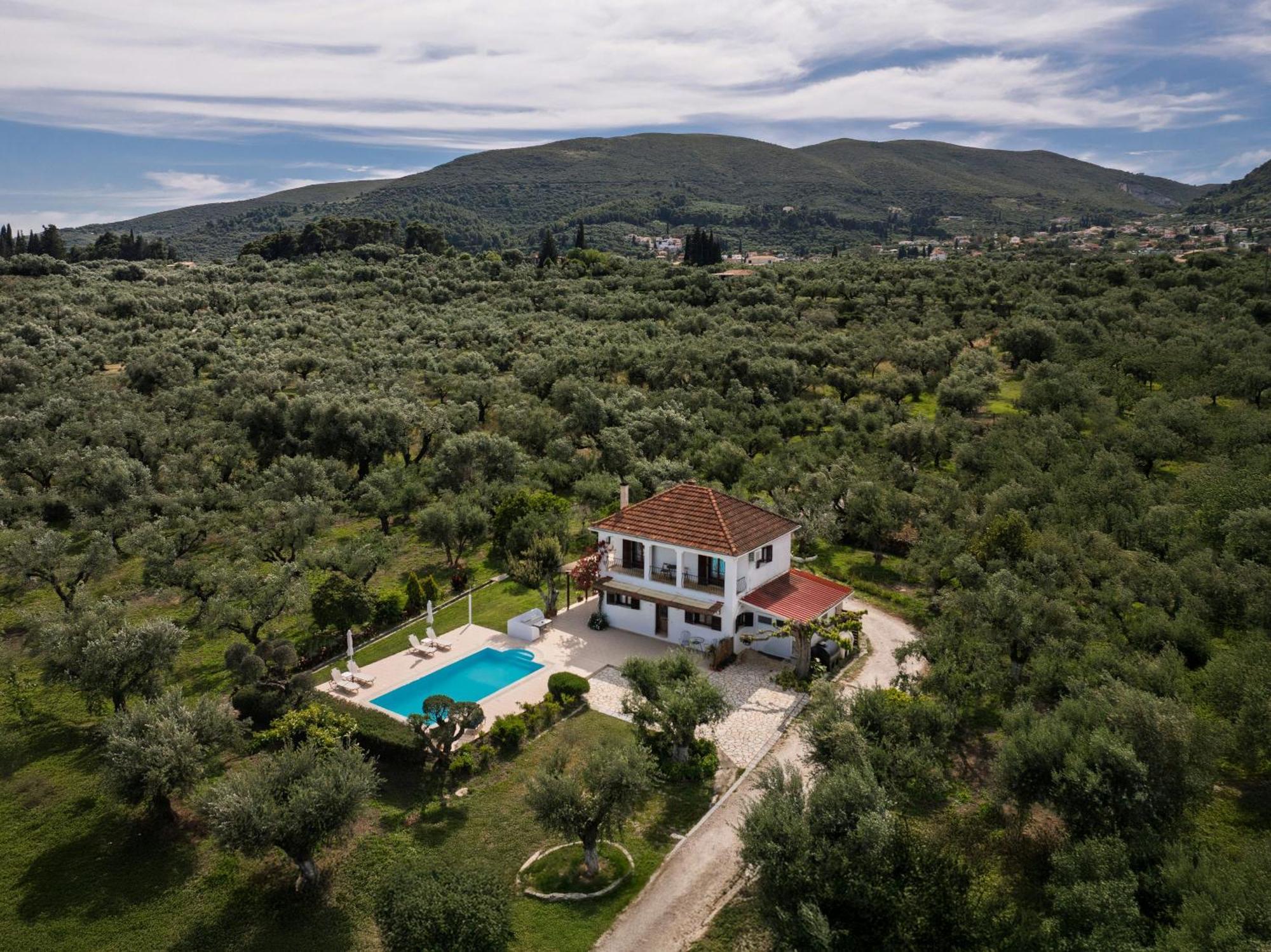 Villa Lola - 3 Bedrooms & Private Pool Lithakia  Exteriér fotografie